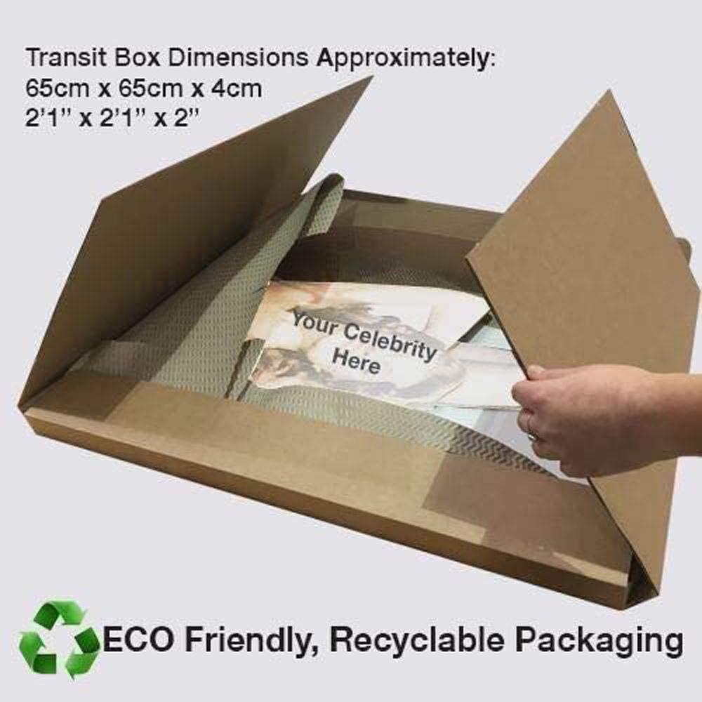 Sara Jay (Crop Top) Midbody Buddy Cutout : Amazon.es: Fashion